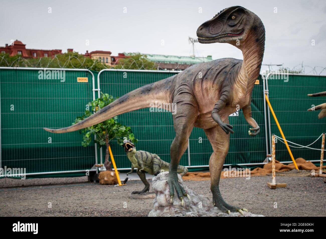 Velociraptor dinosaurio fotografías e imágenes de alta resolución - Página 9 - Alamy Velociraptor dinosaurio fotografías e imágenes de alta resolución - Página 9 - Alamy