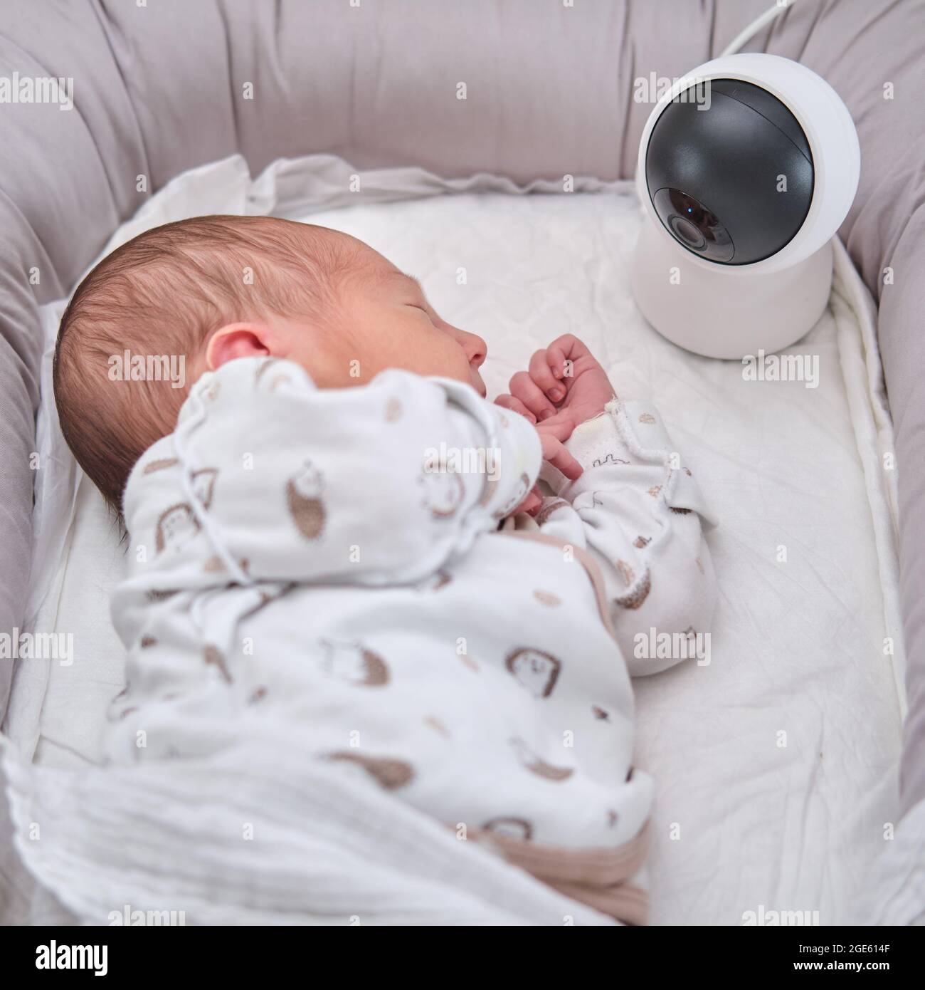 Una Cámara De Vigilancia Doméstica Mira La Cuna Con Un Bebé Recién Nacido  Dormido Fotos, retratos, imágenes y fotografía de archivo libres de  derecho. Image 172474933