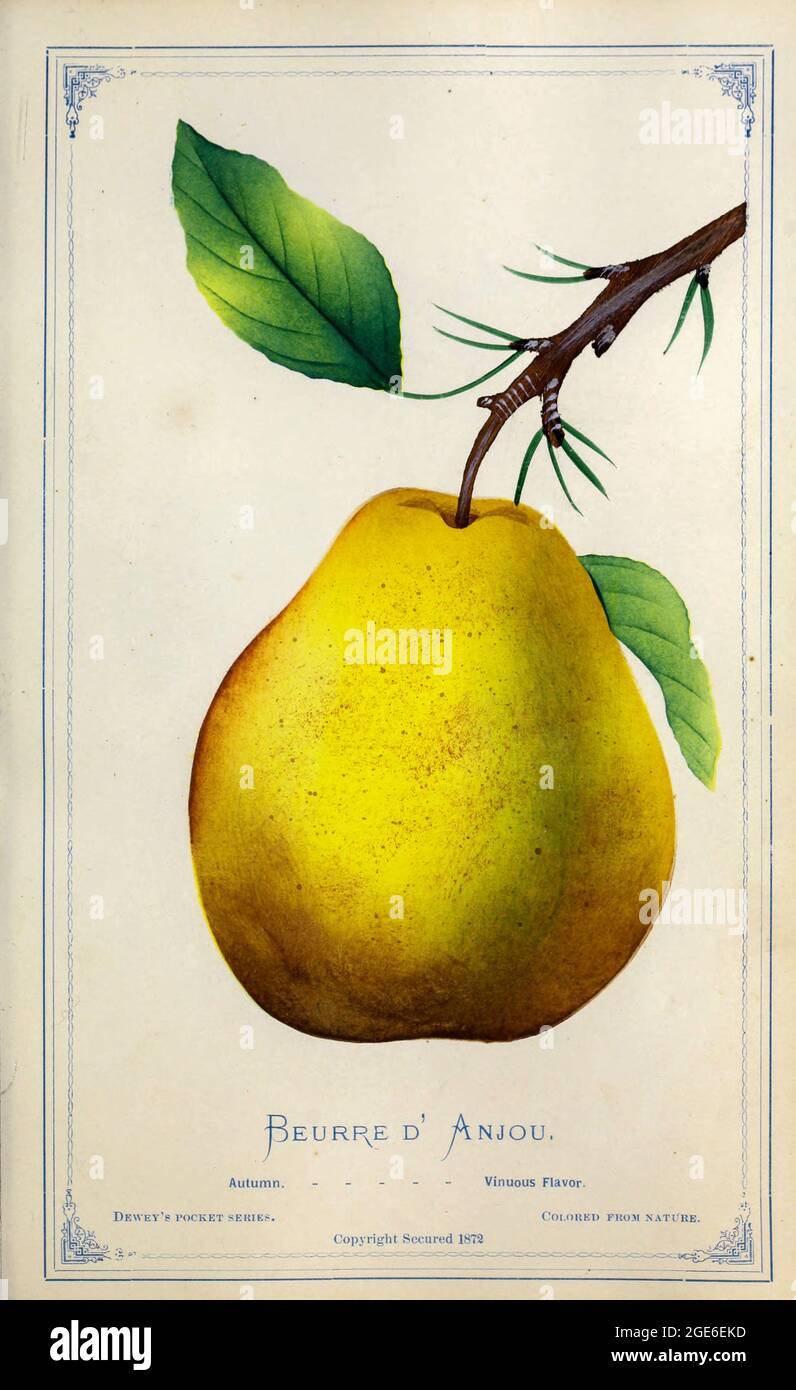 Beurré danjou fotografías e imágenes de alta resolución Alamy