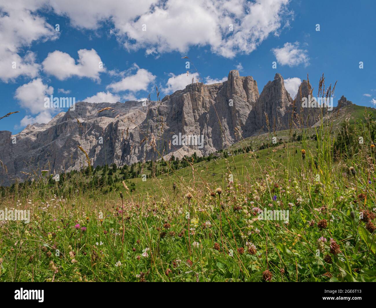 Un exuberante prado de montaña con varias flores y montañas rocosas en el fondo Foto de stock