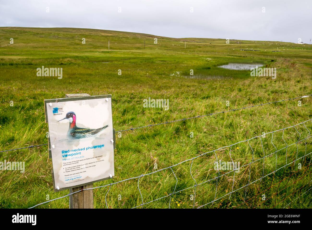 Señal para un punto de vista de falarope de cuello rojo en las mires de Houbie en la isla de Fetlar, Shetland. Foto de stock