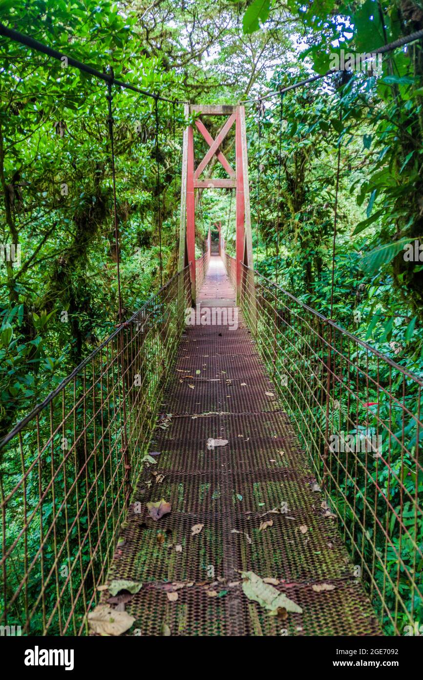 Puente colgante en el bosque nuboso de Reserva Biológica Bosque Nuboso  Monteverde, Costa Rica Fotografía de stock - Alamy