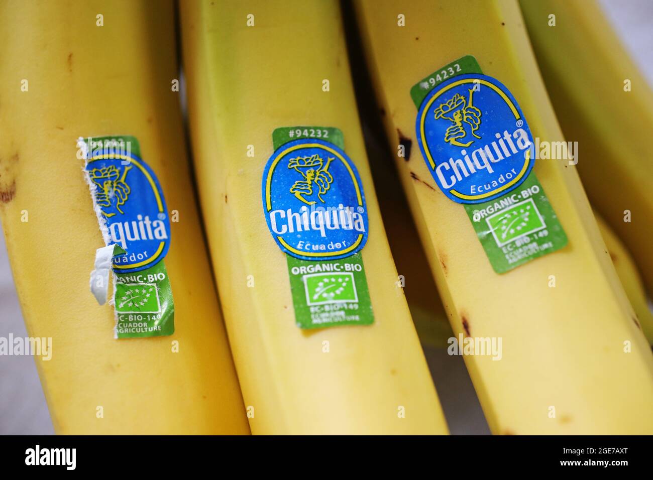 Agriculture banana chiquita fotografías e imágenes de alta resolución