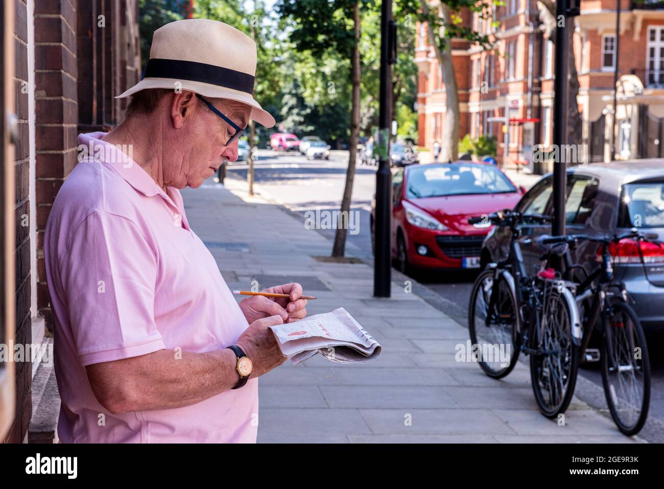 Un hombre que lleva una camiseta rosa y un sombrero de Panamá hace el crucigrama apoyado contra una pared fuera del Chelsea Physic Garden en el centro de Londres. Foto de stock