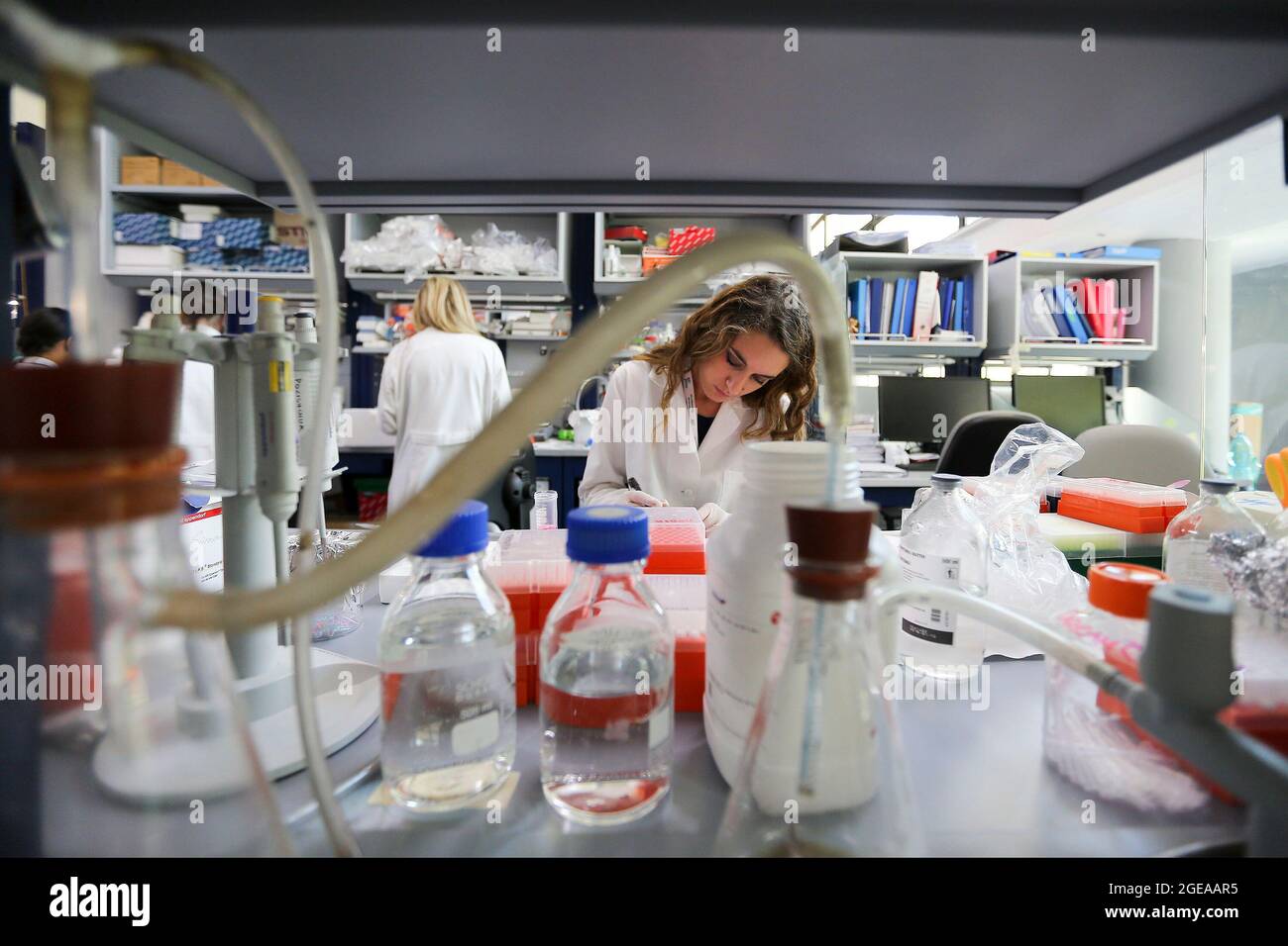 Pozzuoli, Italia - 19 de julio de 2016: Médicos que trabajan en un laboratorio de genética en Pozzuoli, una ciudad del sur de Italia. Foto de stock