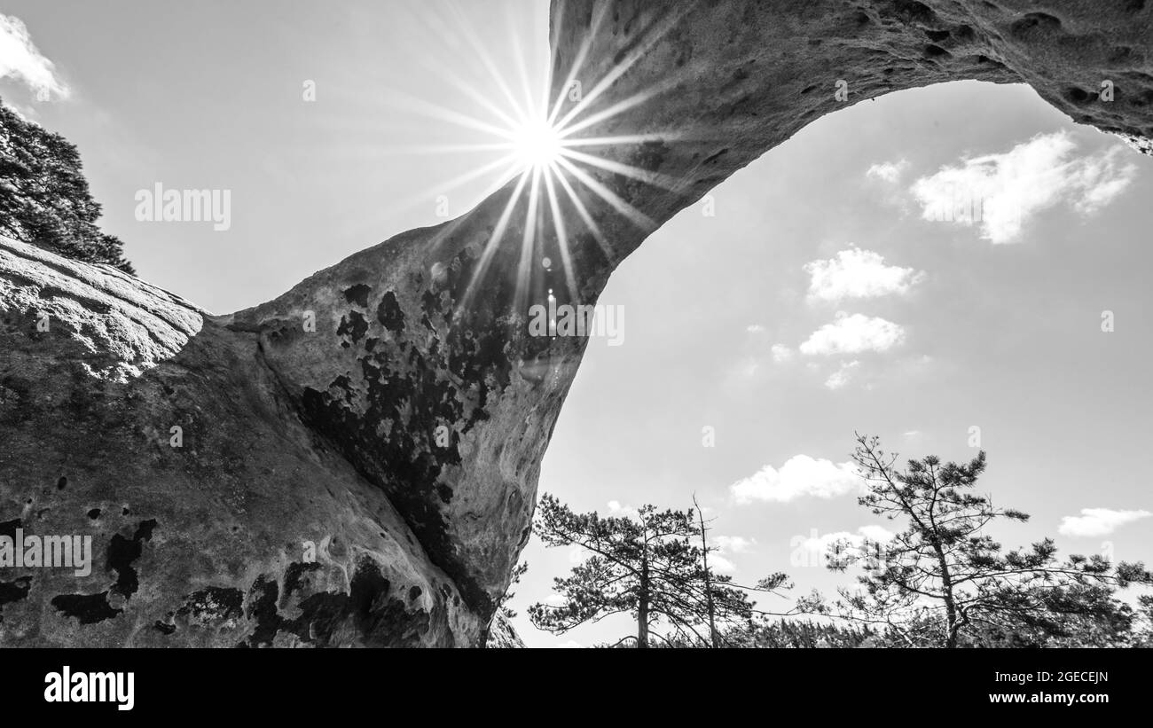 Vista del fondo del arco de piedra arenisca único en el bosque de pinos en el día de verano soleado y seco. Bohemian Paradise, República Checa. Imagen en blanco y negro. Foto de stock