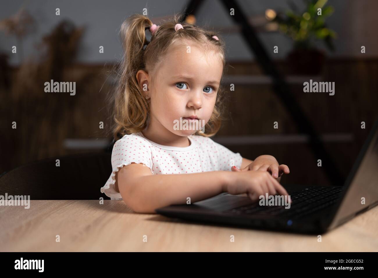 una niña está sentada en un ordenador portátil por la noche y está escribiendo. Retrato de un niño preescolar. Foto de stock