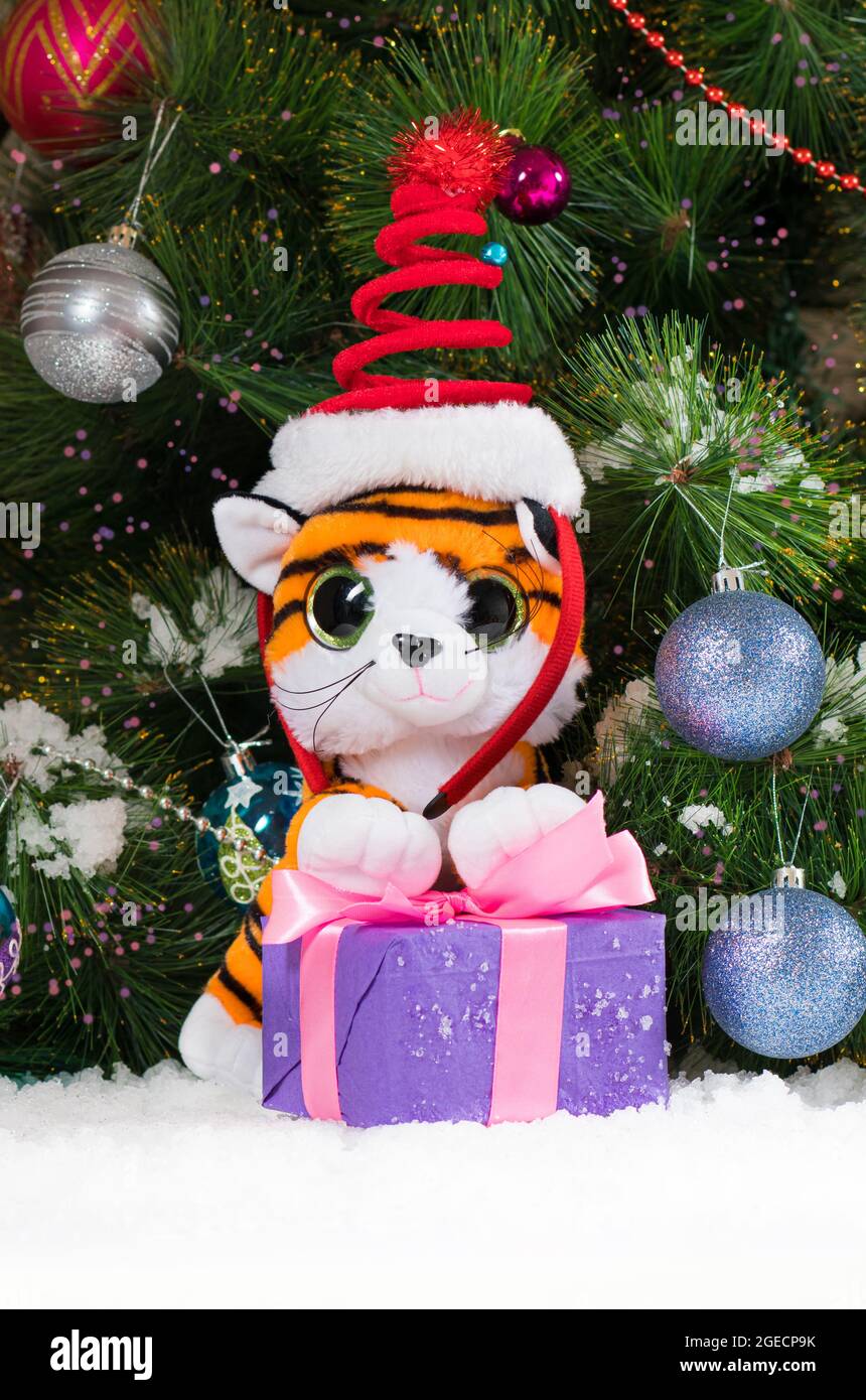 Navidad 2022 Tigre de Año Nuevo con un regalo cerca del árbol en la nieve. Hermosa tarjeta vertical Foto de stock