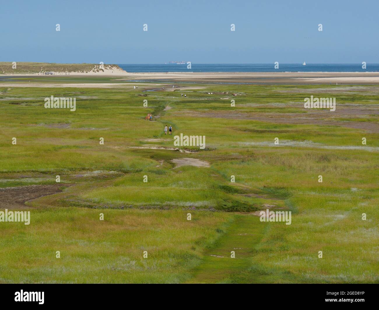 El parque natural Slufter en la Isla Texel es un ambiente muy especial; debido a la brecha en las dunas, el agua salada desborda la tierra regularmente. Texel, Foto de stock