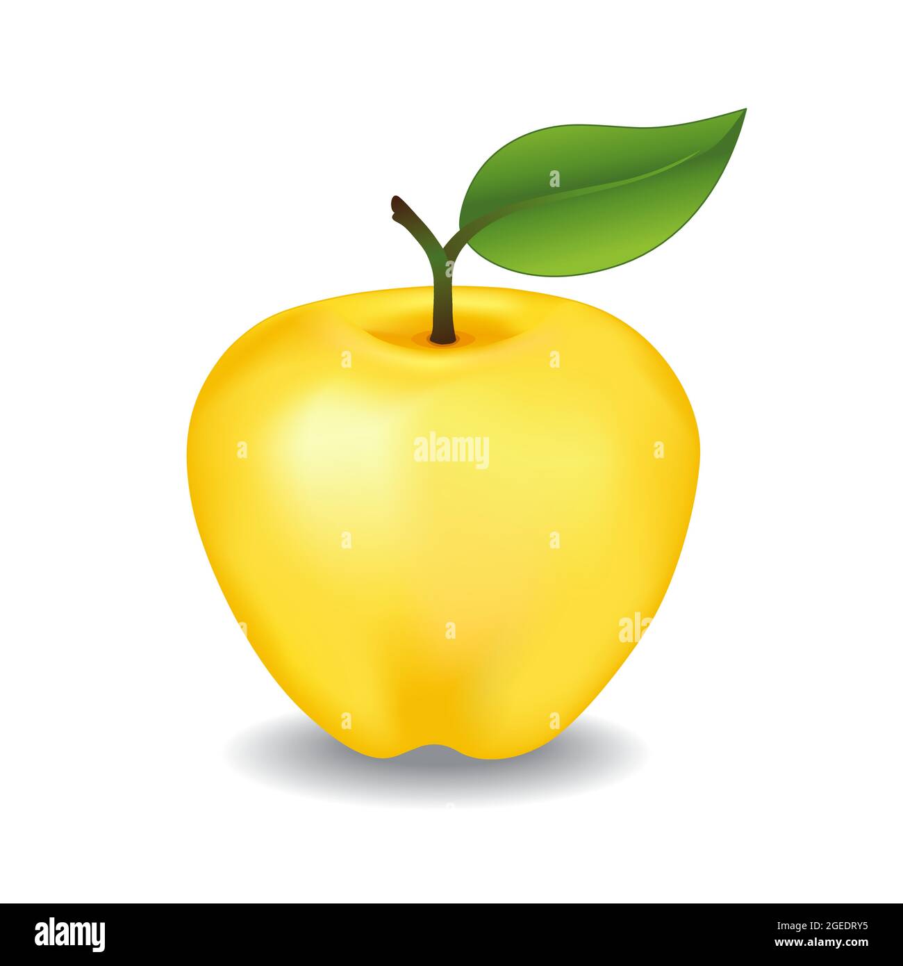 Deliciosa manzana dorada Imágenes vectoriales de stock - Alamy
