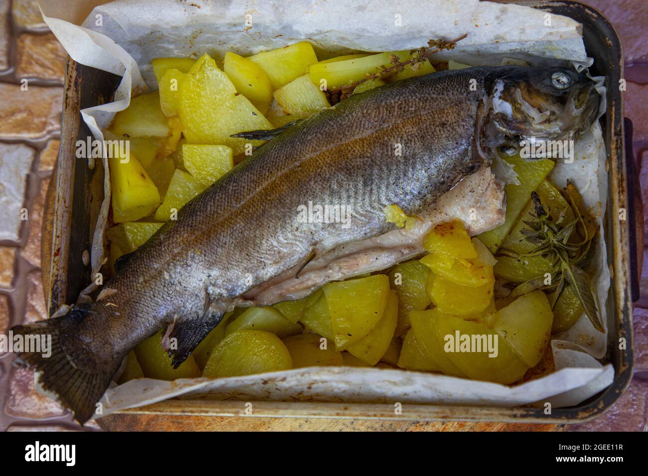 Trucha en el mercado de pescado fotografías e imágenes de alta resolución -  Página 4 - Alamy
