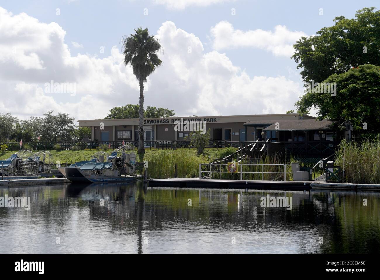 Weston, Estados Unidos de América. 19th de agosto de 2021. WESTIN, FL - 19 DE AGOSTO: Muchos turistas y residentes de Florida están eligiendo actividades al aire libre durante la crisis de Covid-19 tales como el tour en hidrodeslizador donde ven a los caimanes de Florida y la variada vida silvestre en el Parque Recreativo Sawgrass ubicado en el Parque Nacional Everglades el 19 de agosto de 2021 en Weston, Florida. Personas: Florida Alligators Crédito: Storms Media Group/Alamy Live News Foto de stock