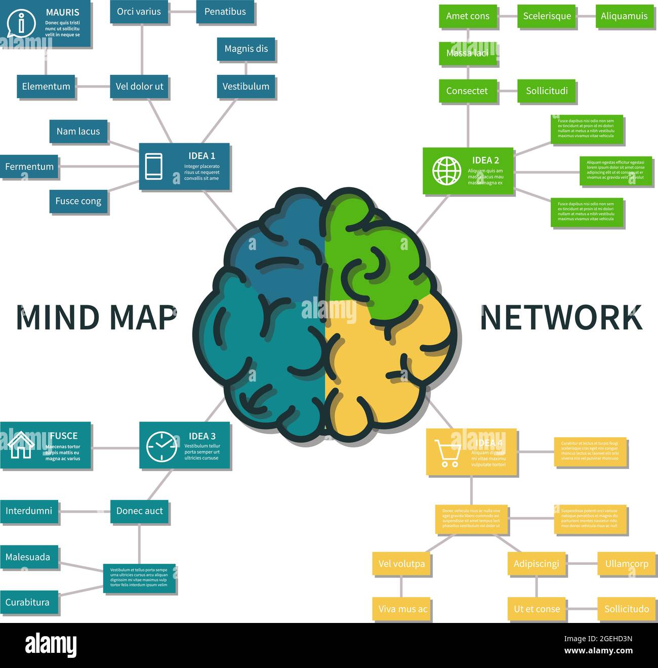 Infografía del mapa mental. Esquema abstracto del proceso del pensamiento  del cerebro, los pasos del negocio que planifican concepto del vector  Imagen Vector de stock - Alamy