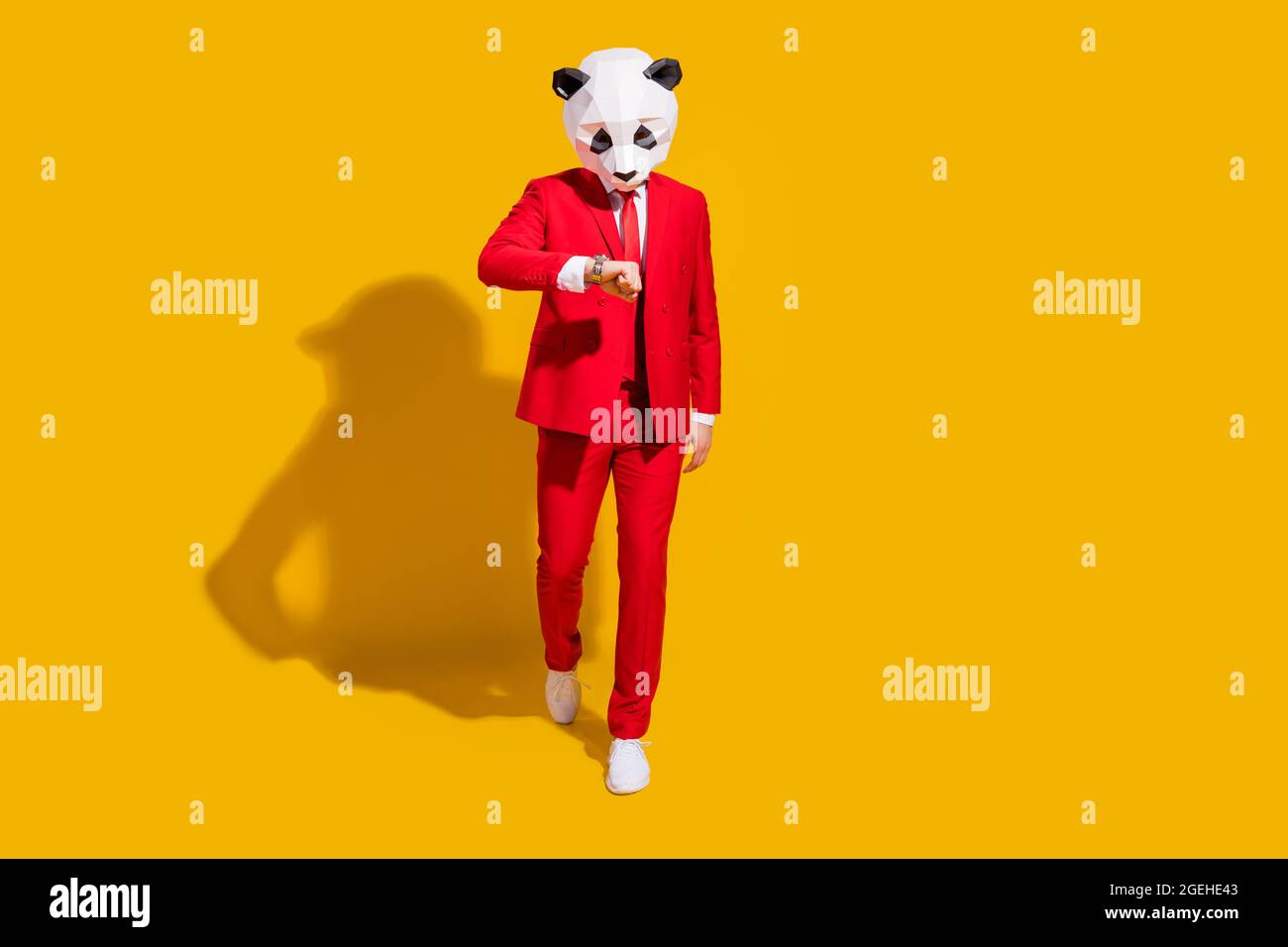 Foto de ocupado fiable panda chico caminar look reloj máscara traje rojo  corbata sneakers aisladas sobre fondo de color amarillo Fotografía de stock  - Alamy
