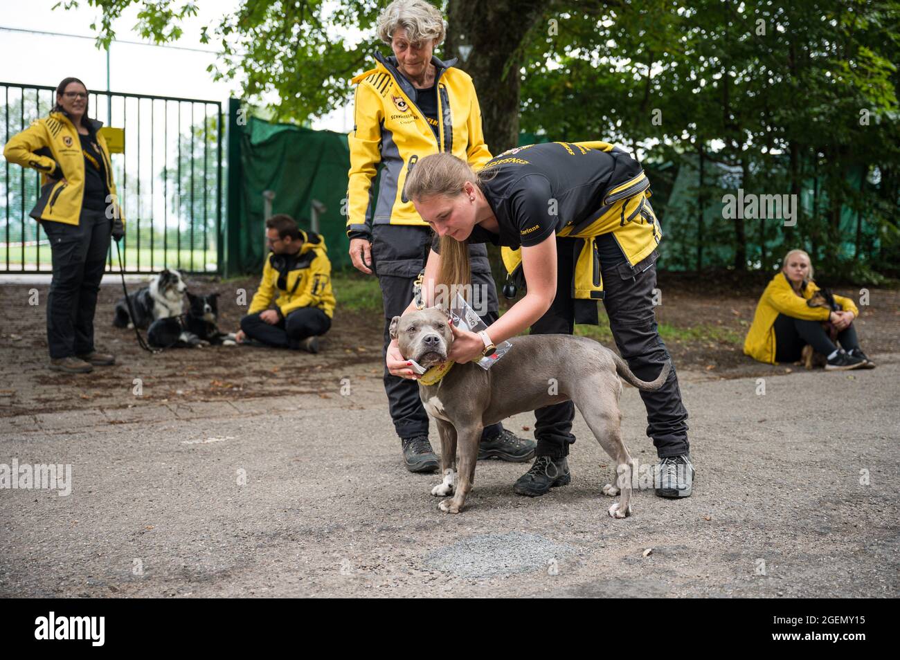 16 de agosto de 2021, Saarland, Püttlingen: Corinna Speicher de  Schnüffelhelden e.V. toma muestras de aromas del perro 'Juna' para un  entrenamiento de búsqueda. La asociación Schnüffelhelden ayuda a encontrar perros  perdidos. (