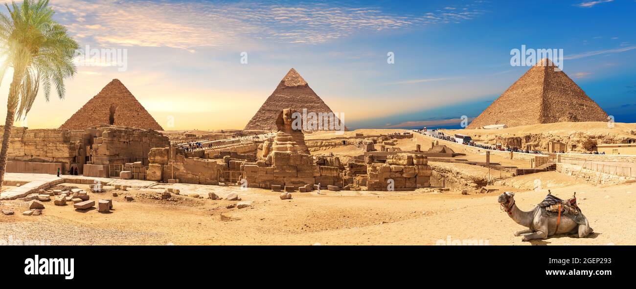 Egipto Pirámides y Esfinge panorama detrás de la palma con un camello tumbado, El Cairo, Giza Foto de stock