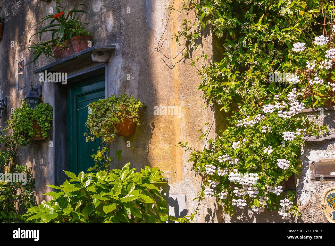 Detalle de la entrada de una antigua casa en el pueblo pesquero, rodeada de plantas floridas en macetas en verano, Boccadasse, Génova, Liguria, Italia Foto de stock