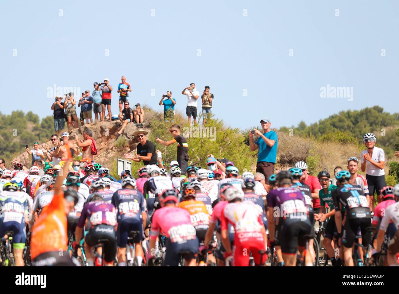 Jinetes en acción durante la etapa 8th de la Vuelta Española de Ciclismo,  una carrera de 173, 7 km entre Santa Pola (Alicante) y La Manga del Mar  Menor (Murcia), en Santa