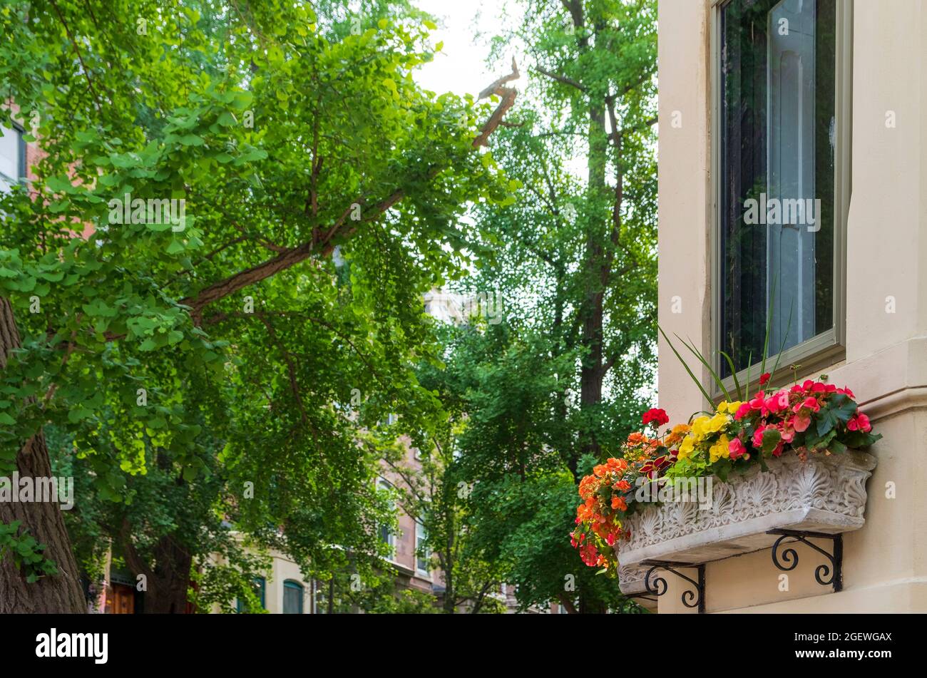 Cajas de ventanas en casas en verano, Rittenhouse Square Neighborhood, Philadelphia, Pennylvania, USA Foto de stock