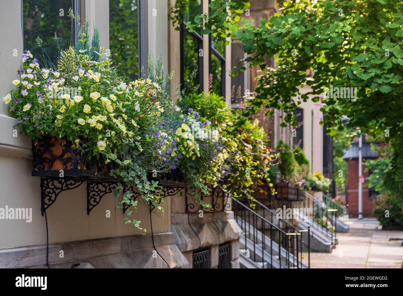 Cajas de ventanas en casas en verano, Rittenhouse Square Neighborhood, Philadelphia, Pennylvania, USA Foto de stock