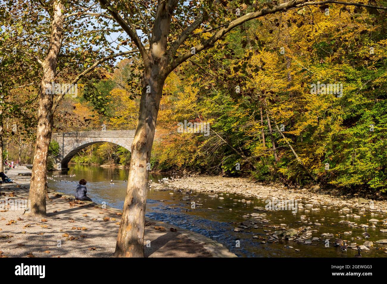 Reflexiones en creek, Wissahickon Creek Valley Park en otoño cerca de Forbidden Drive, Filadelfia, Pensilvania, Estados Unidos Foto de stock