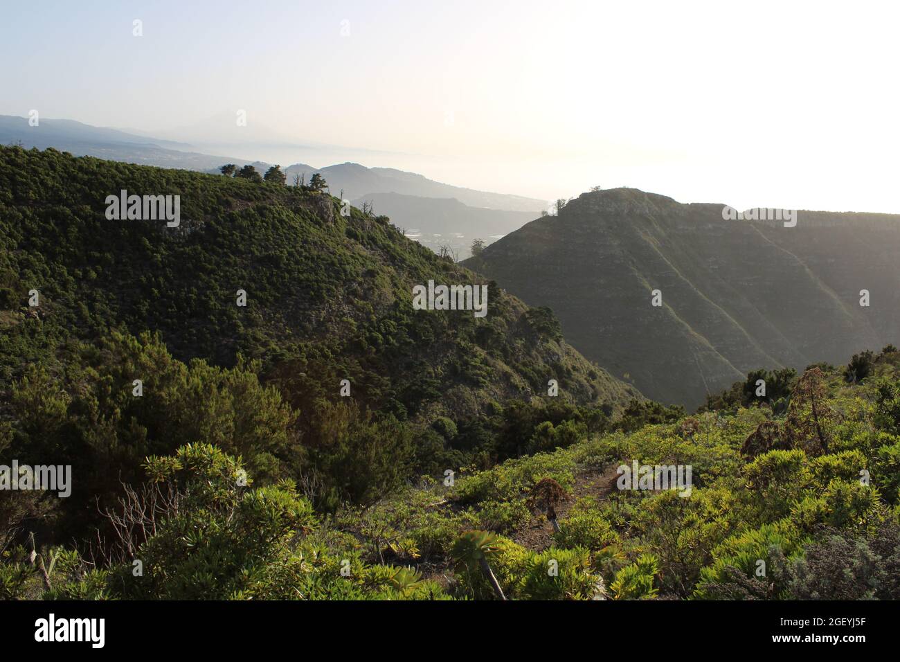 Montañas climáticas mostrar vacante Mesa de tejina fotografías e imágenes de alta resolución - Alamy