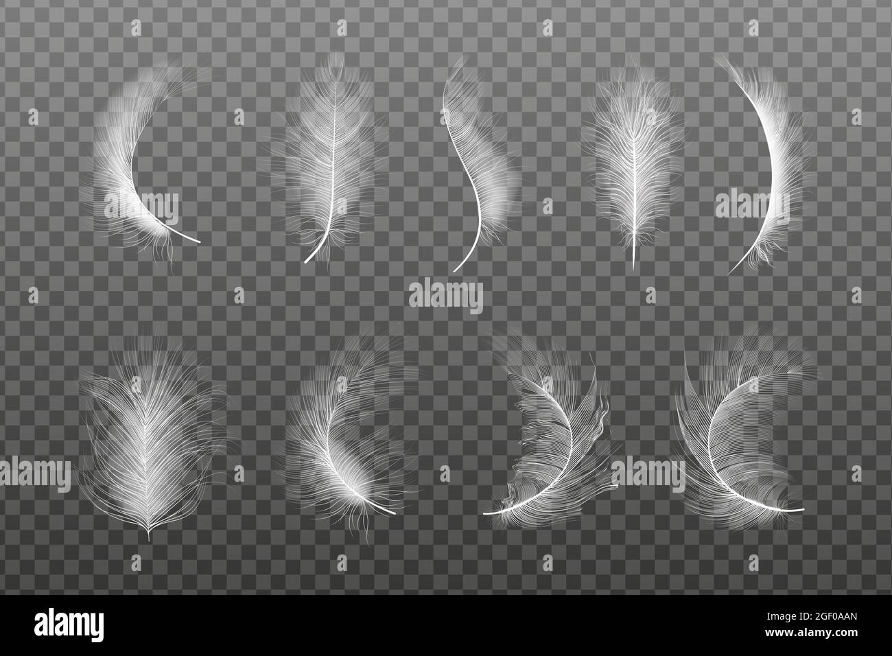 Relleno ecológico de plumas para almohadas, cobijas.Set de vuelo realista  ganso vector Imagen Vector de stock - Alamy