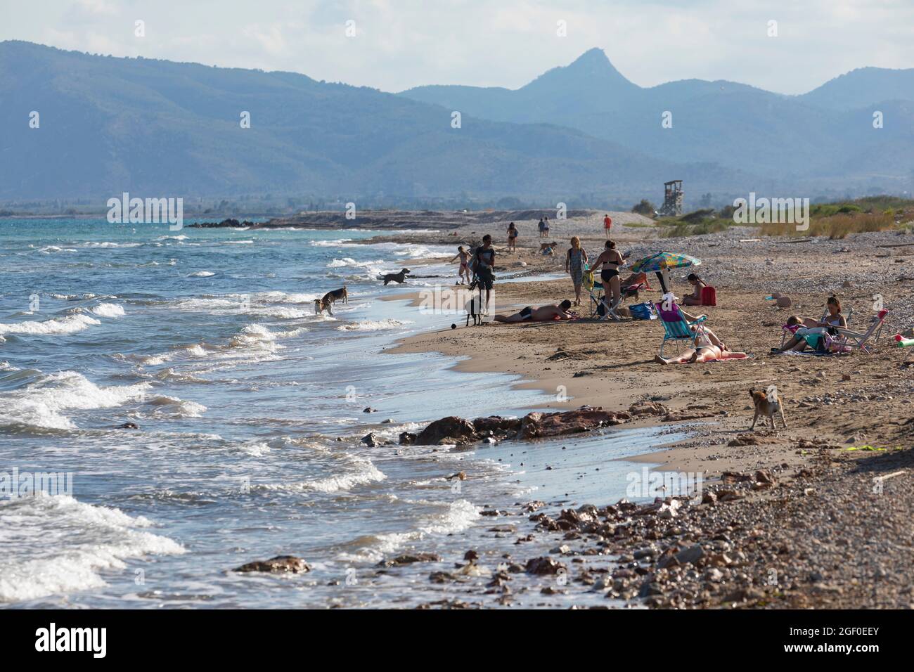 Torreblanca, España - 16 de julio de 2020: Gente disfrutando de la playa  con sus perros cerca de la localidad de Torreblanca, en el Parque Natural  del Prat de Cabanes Fotografía de stock - Alamy