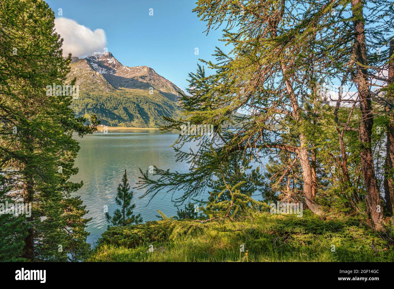 Paisaje escénico de verano, Lake Sils, Upper Engadin, Suiza Foto de stock