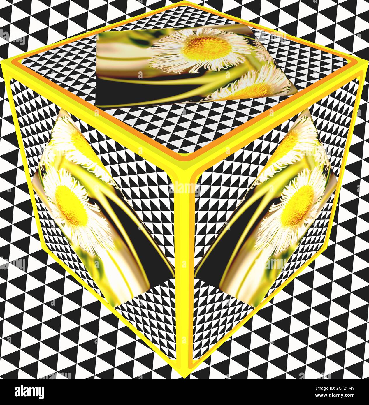 Original Abstract Photography by Hegearl Dandelion Cube 3D Tratamiento Arte Original |Color FotoDigital Maniolada Foto de stock