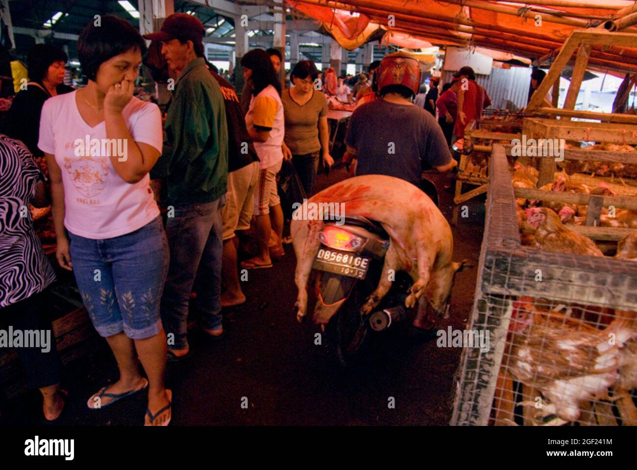 Mercado de carne en Tomohon, Sulawesi del Norte, Indonesia. Foto de stock