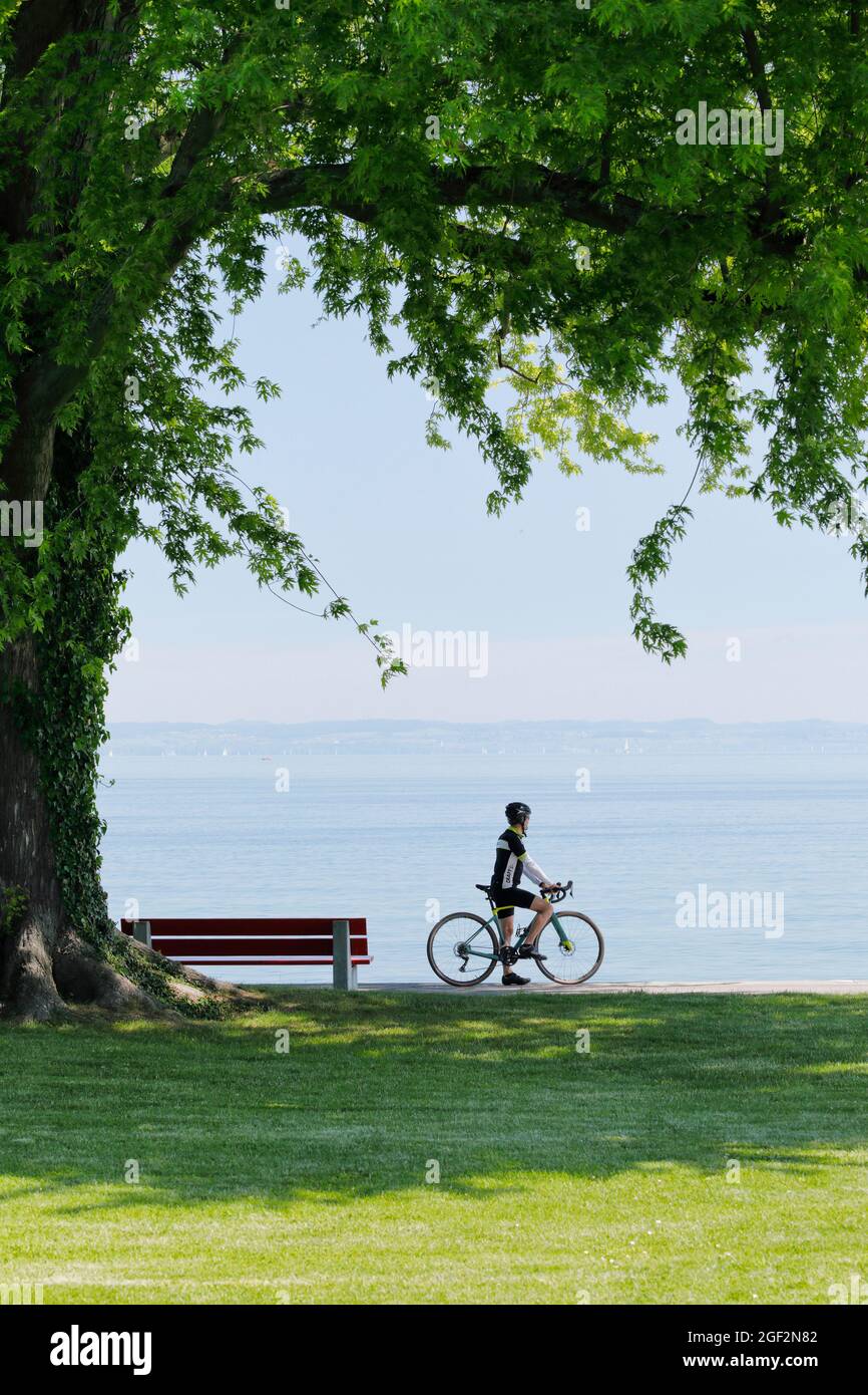 Ciclista de pie bajo un gran árbol en la orilla del lago Constanza disfrutando de la vista, Suiza, Thurgau Foto de stock