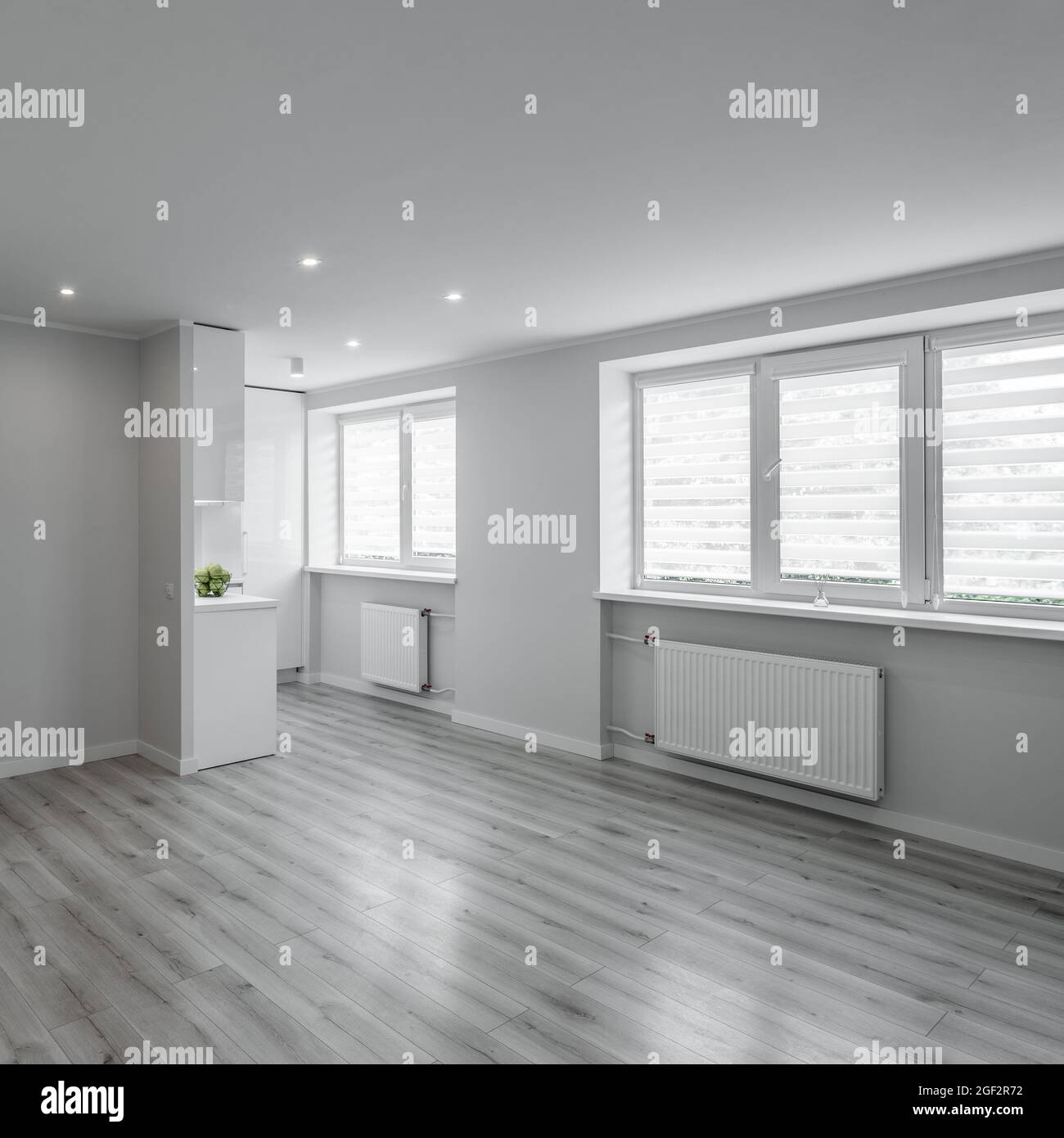 Moderno y luminoso interior de un apartamento estudio renovado sin muebles  de estilo escandinavo. Sala de estar vacía y cocina blanca Fotografía de  stock - Alamy