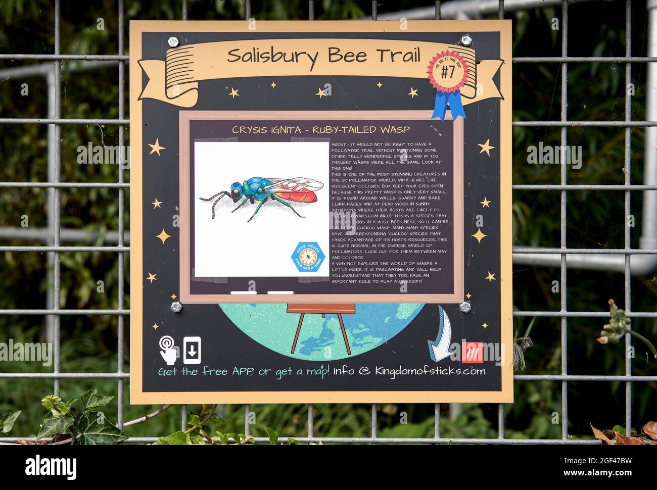 Salisbury Bee Trail signo con una ilustración de una cola de rubí Wasp Crysus ignita Foto de stock