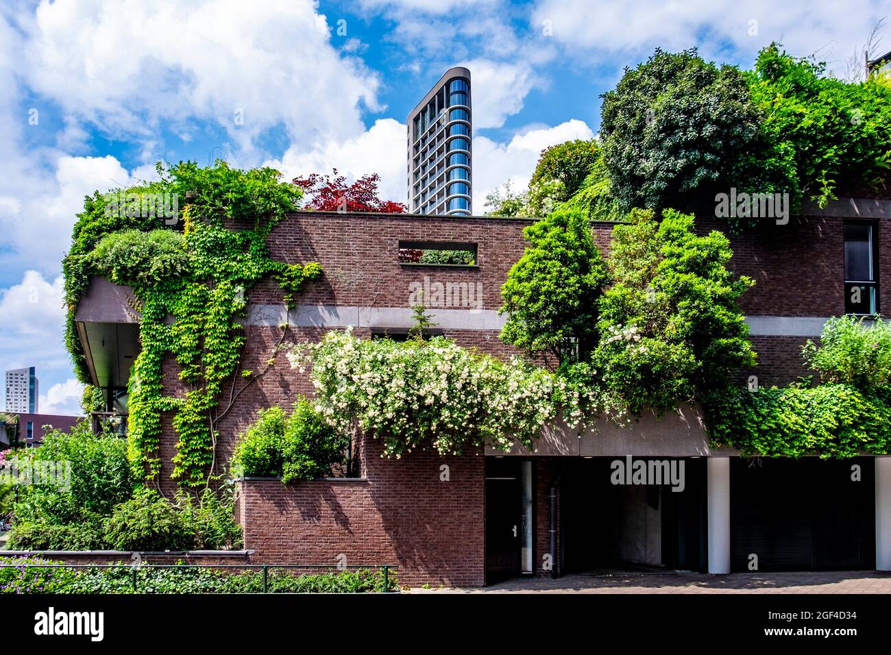 Eindhoven, Países Bajos, 29th de junio de 2021. Jardines colgantes del  arquitecto Neave Brown, con la moderna torre Vesteda en el fondo Fotografía  de stock - Alamy