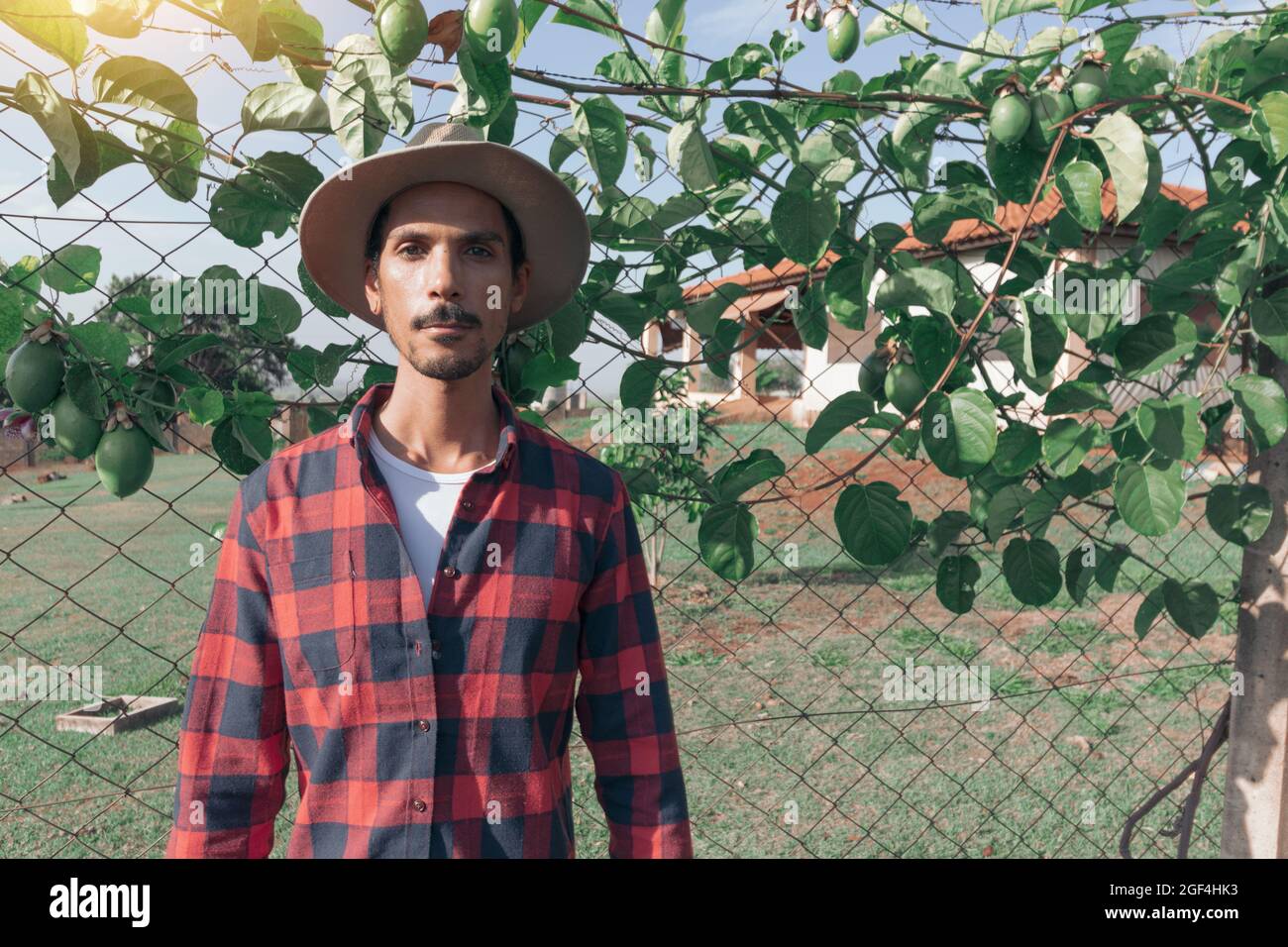 Hombre negro granjero en sombrero en la granja, la planta de fruta de la  pasión en el fondo Fotografía de stock - Alamy