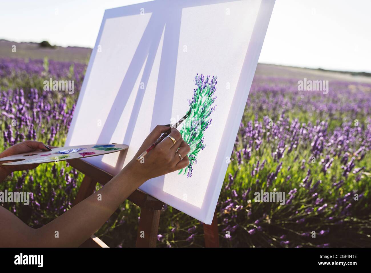 Mujer joven pintando flores de lavanda sobre lienzo en el campo Fotografía  de stock - Alamy