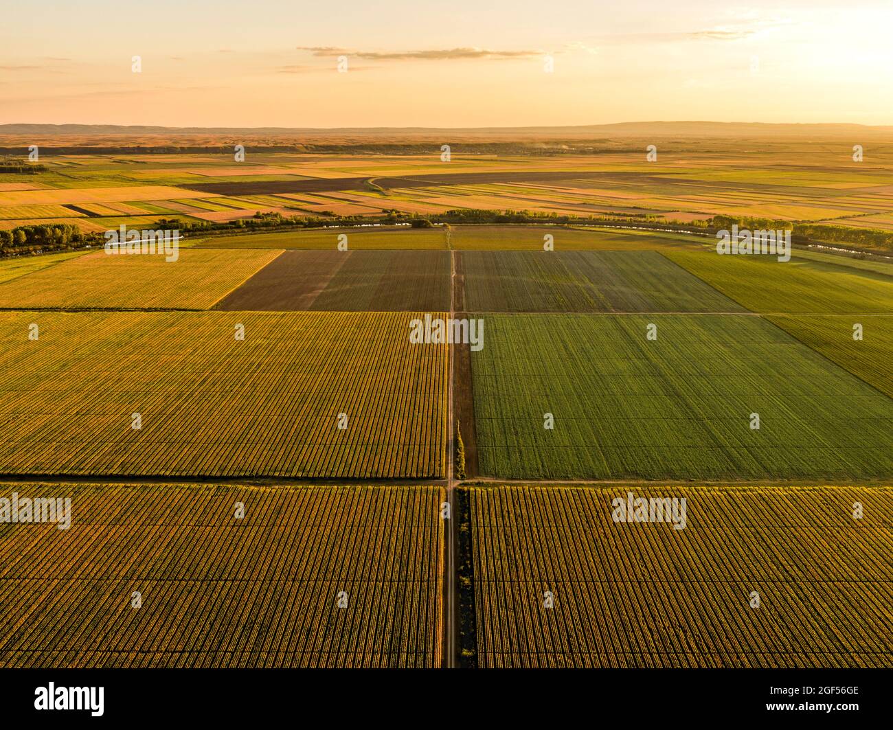 Vista aérea de vastos campos agrícolas al atardecer del verano Foto de stock