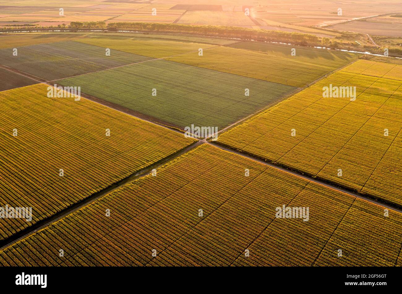 Vista aérea de vastos campos agrícolas al atardecer en verano Foto de stock