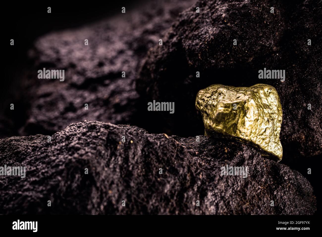 piedra de oro sobre fondo de roca, minería de oro, geología Foto de stock