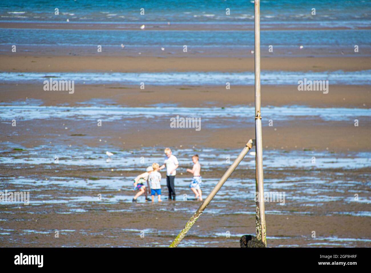 Fishguard, Pembrokeshire, Gales Reino Unido . 24thAugust h 2021. Las temperaturas suben a 19 grados Los niños juegan en el mar y las piscinas de roca después de que la marea ha salido turista disfruto el último de las vacaciones de verano Crédito: Debra Angel/Alamy Live News Foto de stock