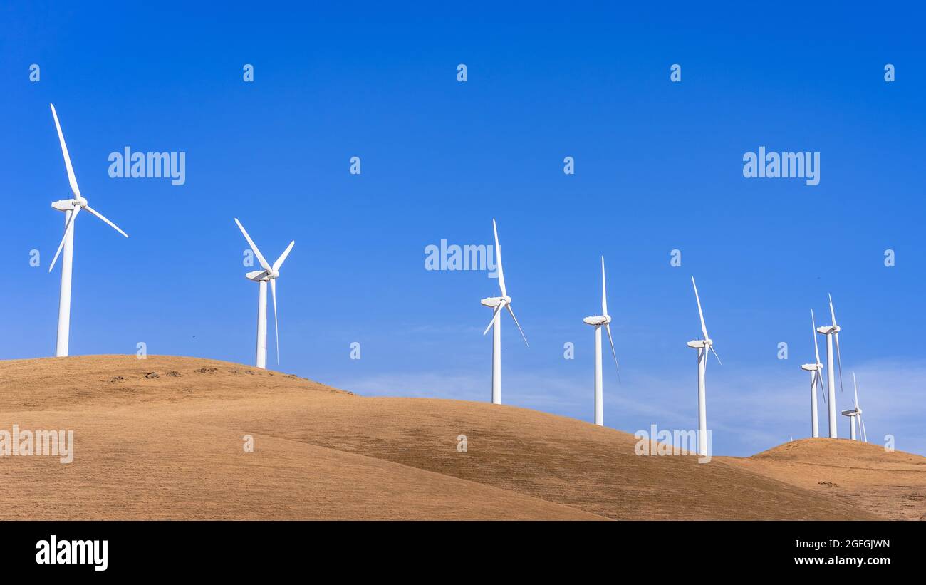 Turbinas eólicas en la cima de las colinas doradas en el Condado de Contra Costa, área de la Bahía Este de San Francisco, California Foto de stock