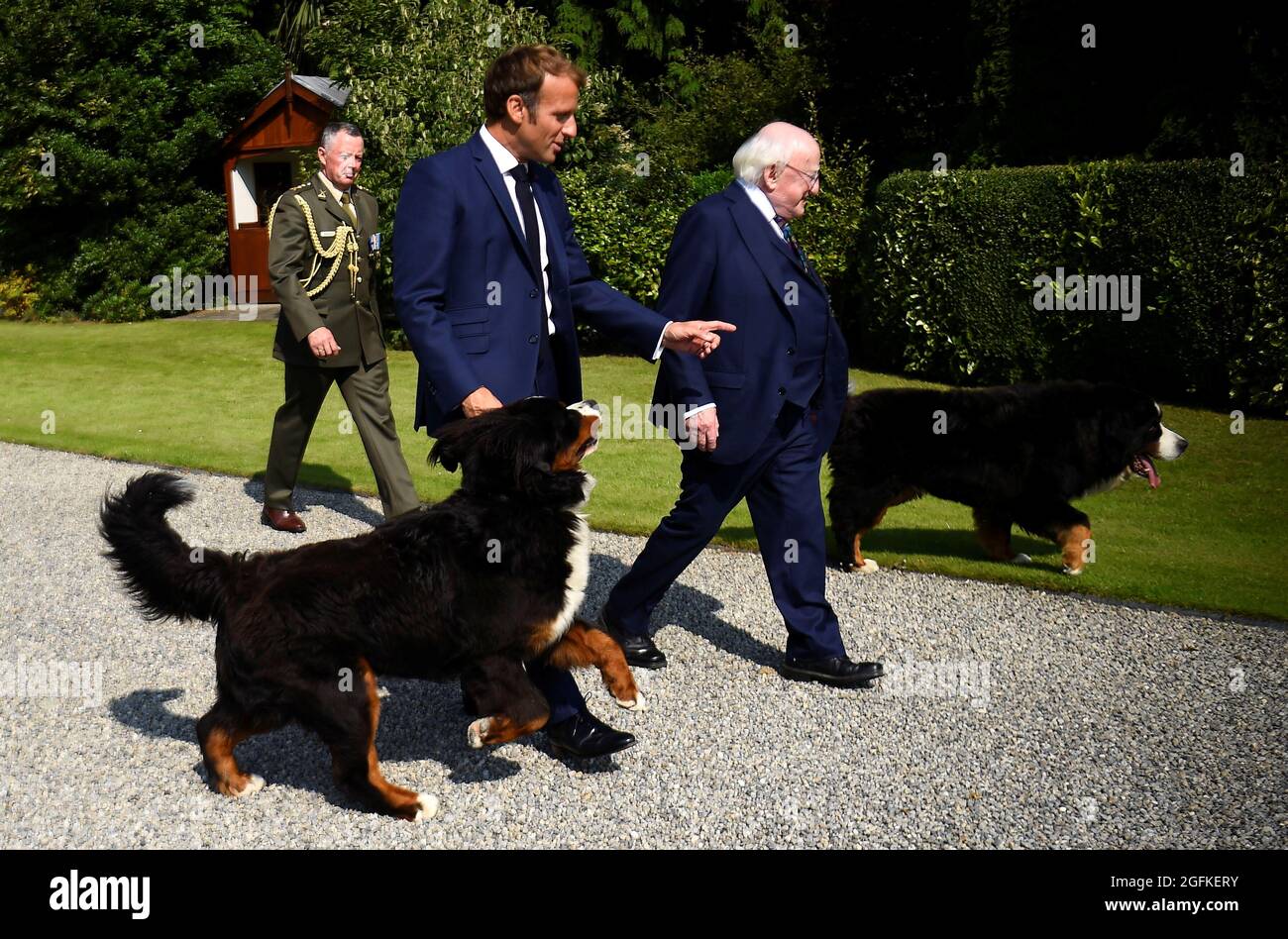Los perros del presidente irlandés Michael D. Higgins caminan alrededor de  él y del presidente francés Emmanuel Macron mientras se reúnen en Aras an  Uachtarain, Dublín, Irlanda, el 26 de agosto de