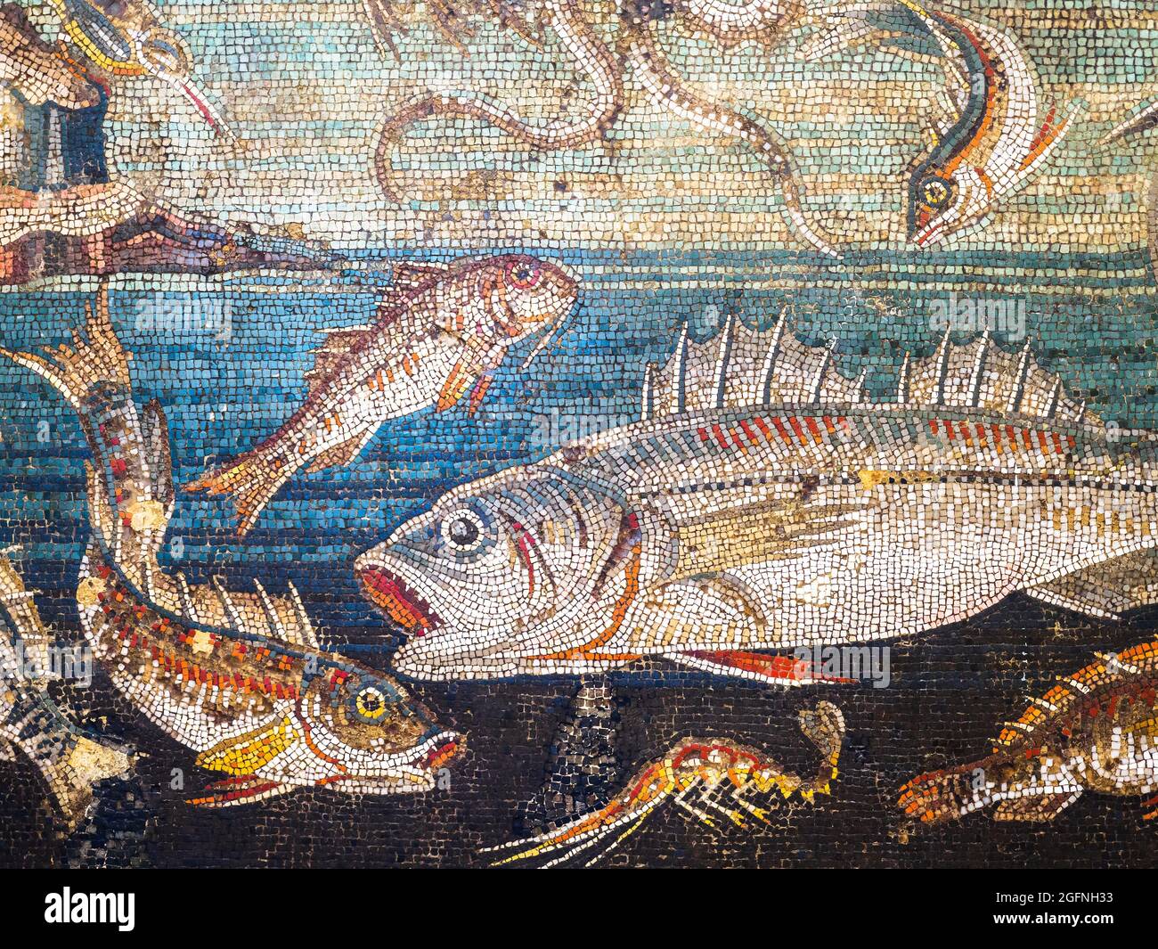Opus vermiculatum fotografías e imágenes de alta resolución Alamy