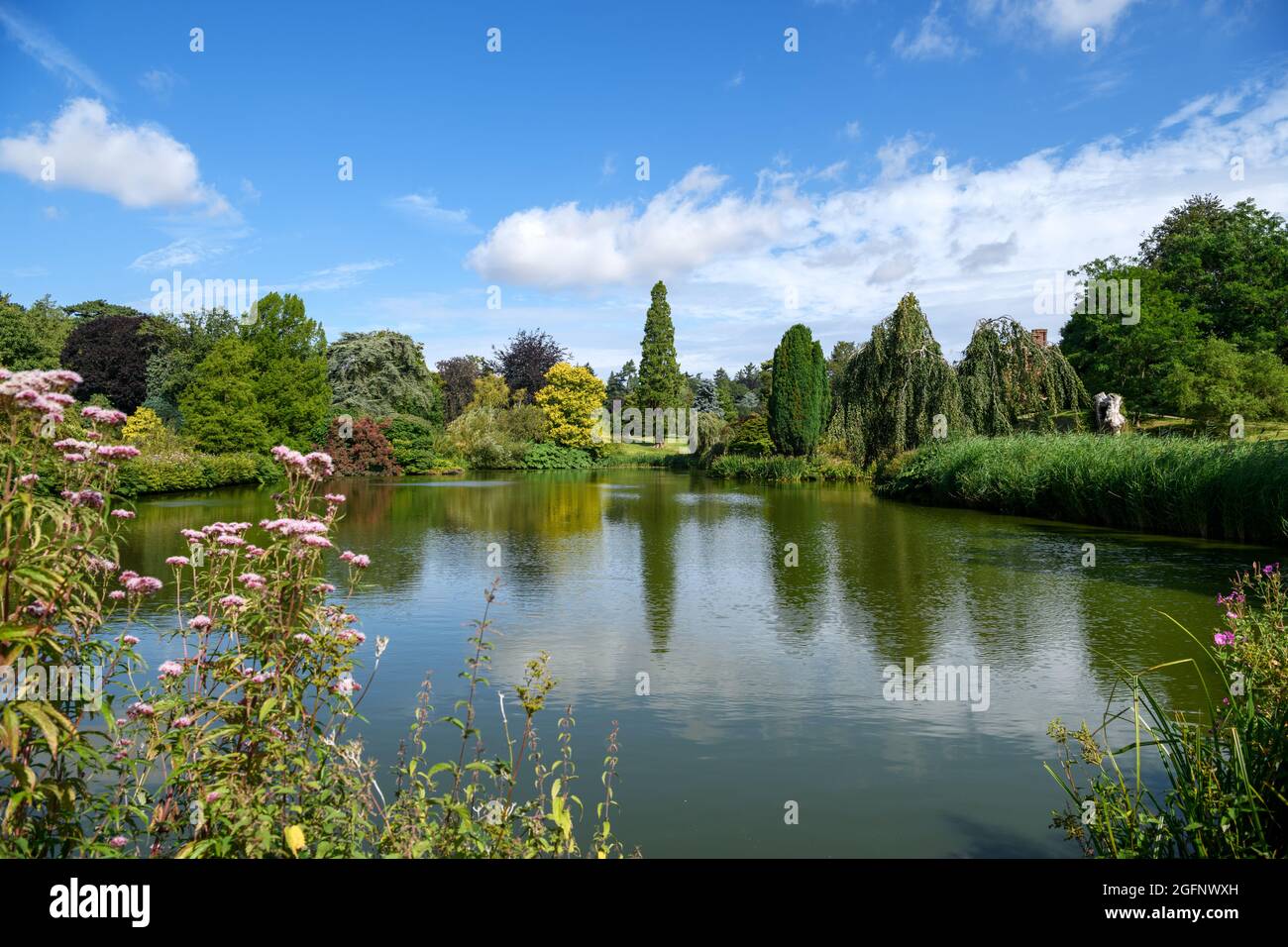 Los jardines en Sandringham House, Sandringham, Norfolk, East Anglia, Inglaterra, REINO UNIDO Foto de stock