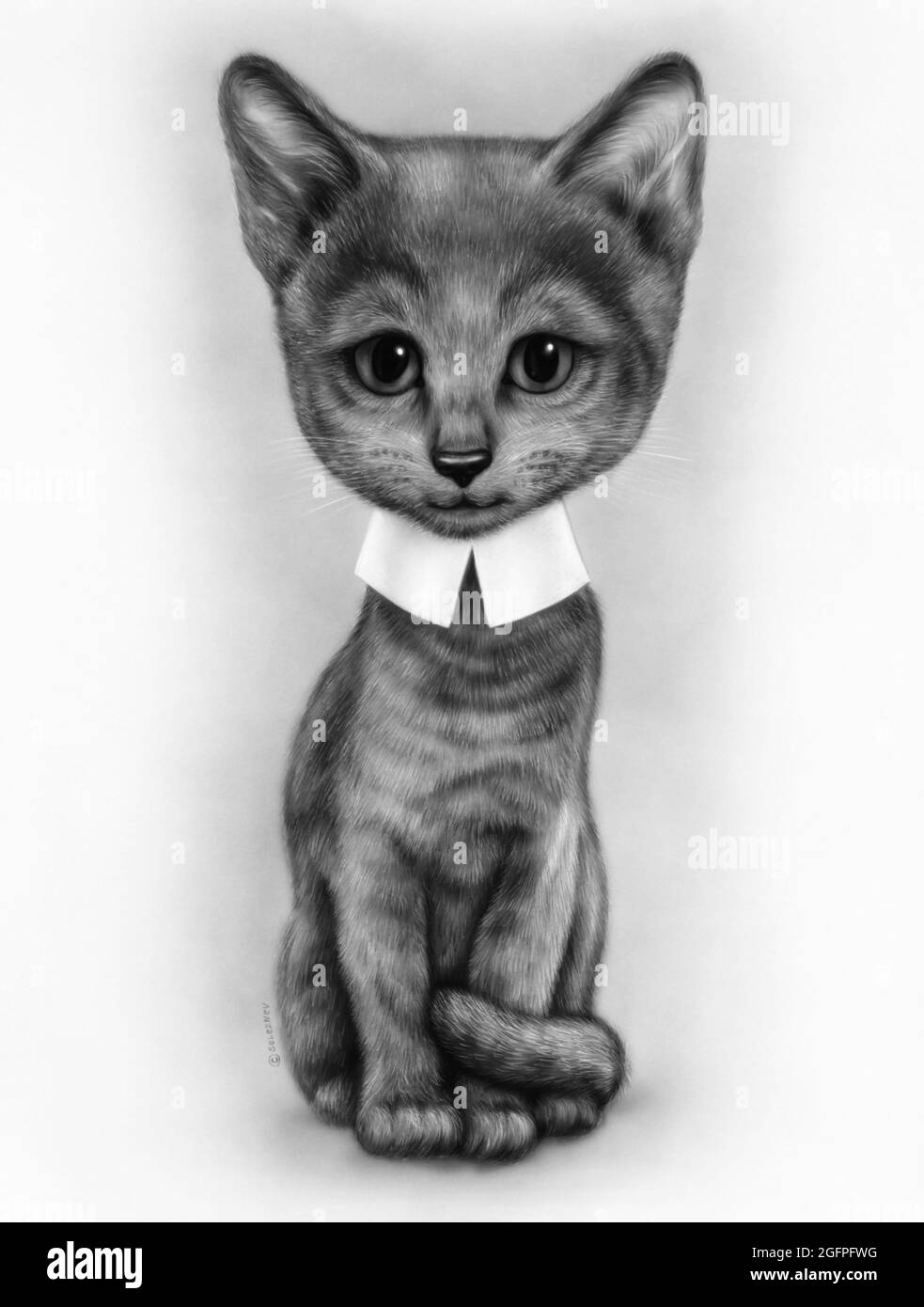 Gato con lapices Imágenes de stock en blanco y negro - Alamy