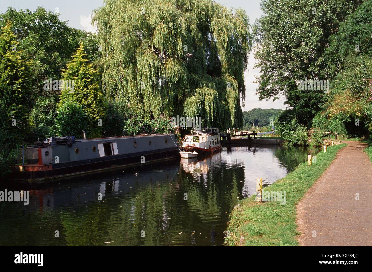 Camino a lo largo del río Lea Navigation cerca de Hertford Lock, Hertfordshire, sur de Inglaterra Foto de stock