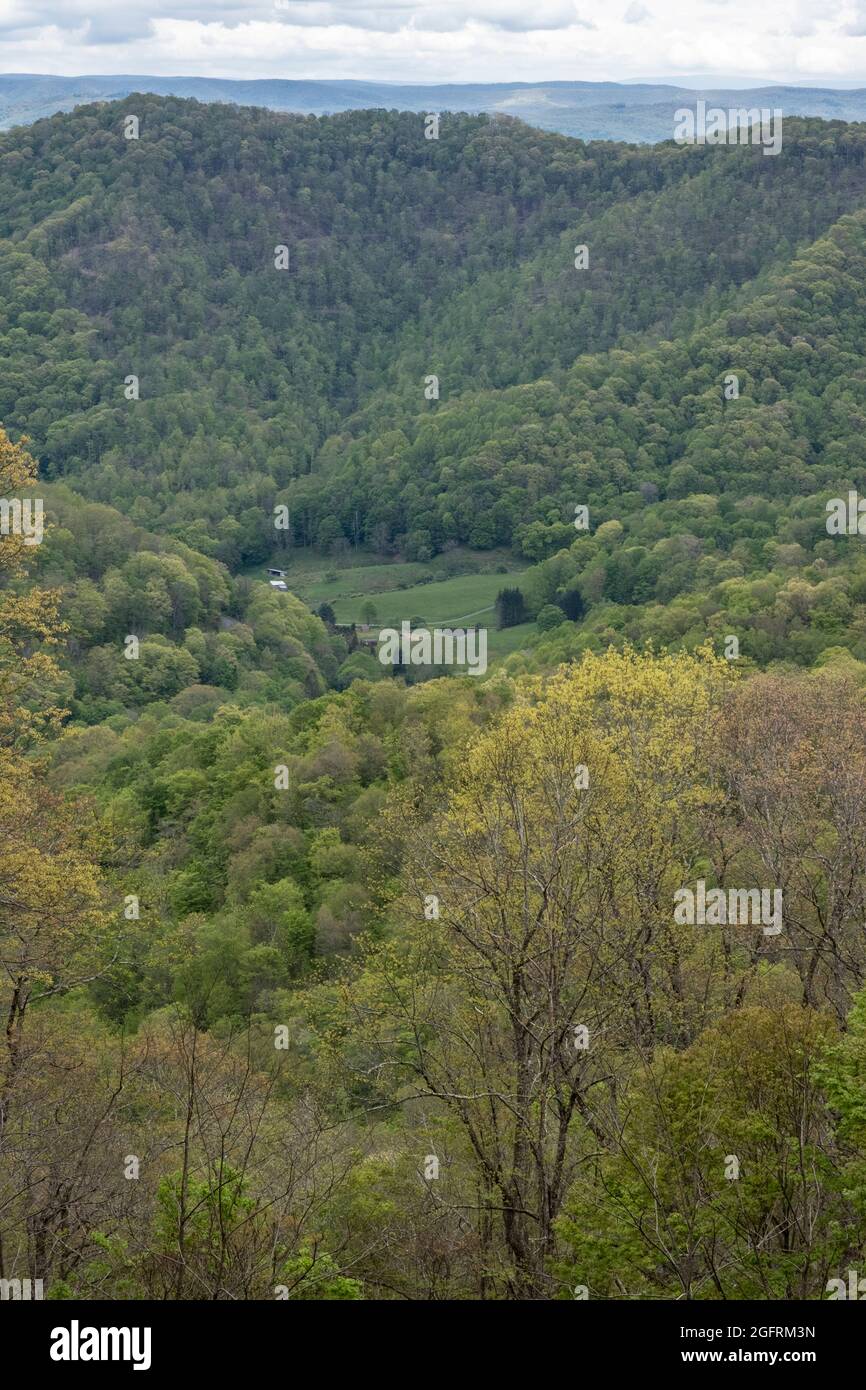 Cranberry Hill, Virginia Occidental. Vista de primavera desde Cranberry Mountain Scenic Point. Foto de stock
