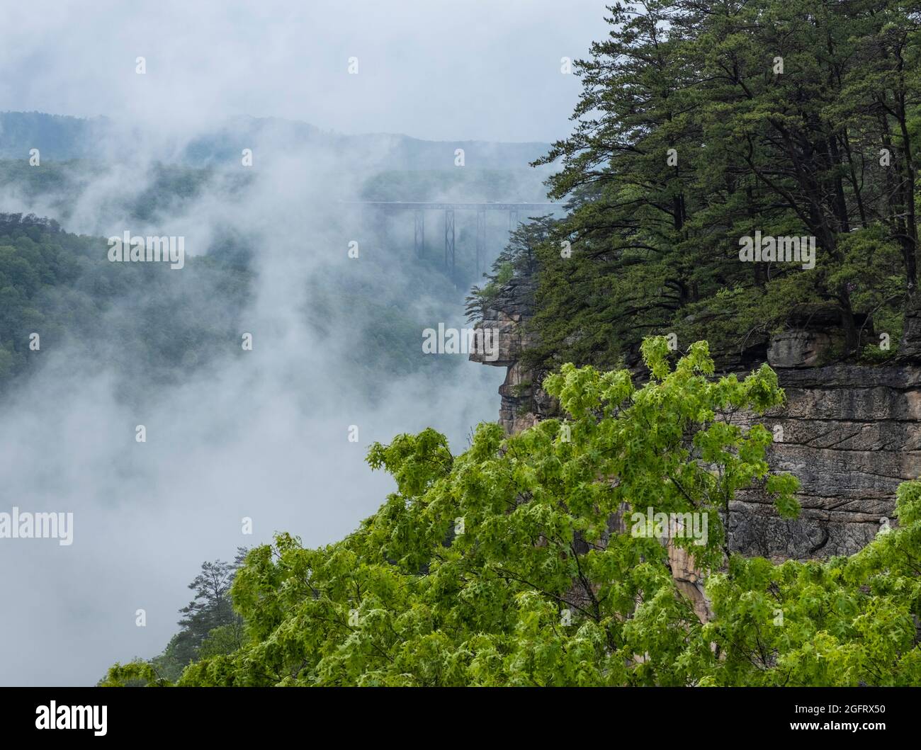 Parque Nacional New River Gorge, Virginia Occidental. Vista del puente New River Gorge a través de la niebla en un día lluvioso desde el sendero Endless Wall Trail. Foto de stock
