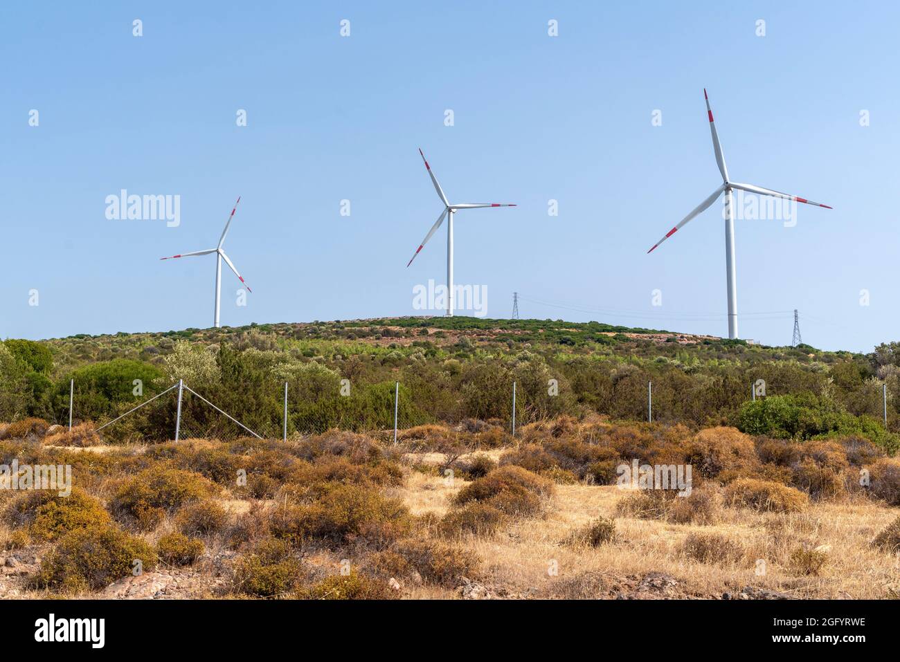 molinos de viento en el campo Foto de stock